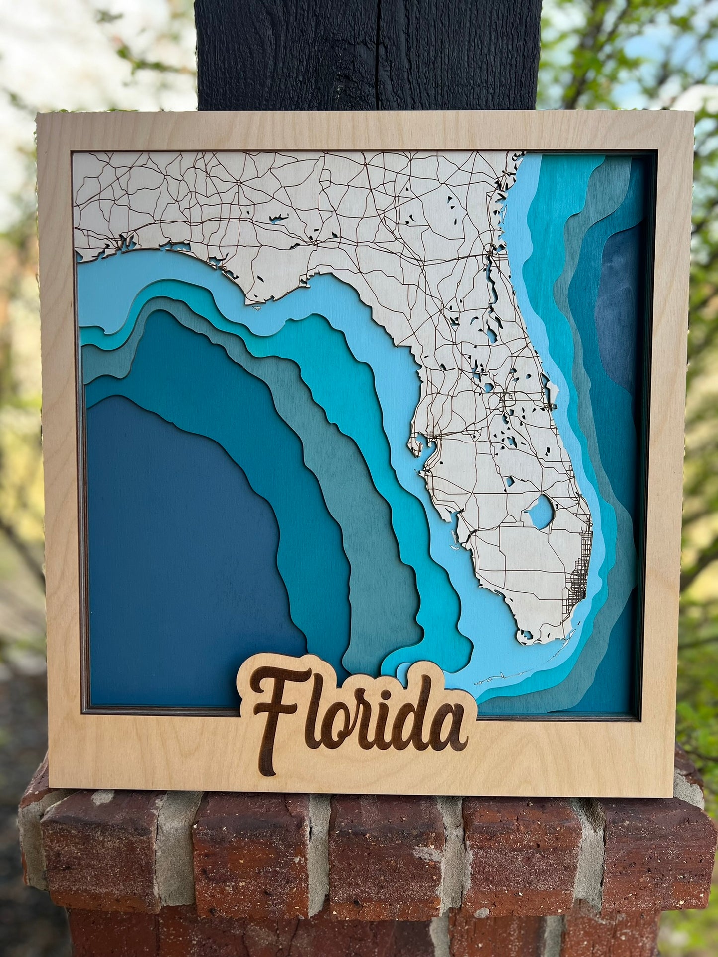 Multi Layered Florida Map